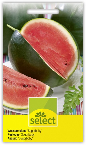 Wassermelone 'Sugarbaby' - Vorderseite