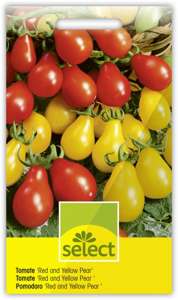 Tomate 'Red and Yellow Pear' - Lycopersicon esculentum
