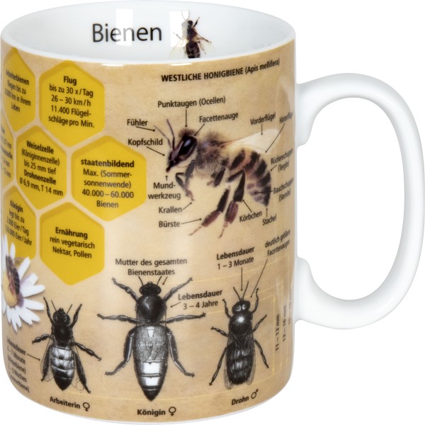 Becher 'Bienenwissen'