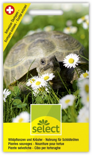Wildpflanzen und Kräuter für Schildkröten - Vorderseite