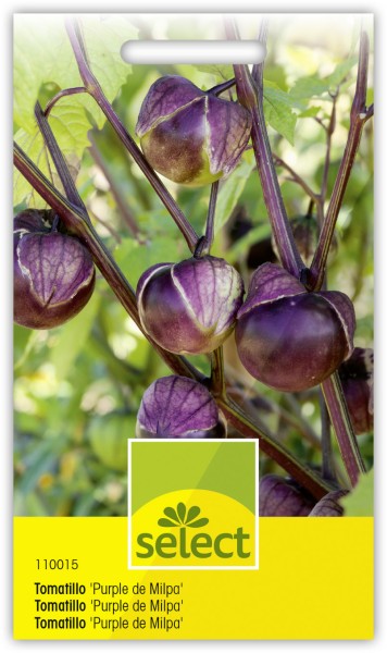 Kapstachelbeere, Tomatillo 'Purple de Milpa'