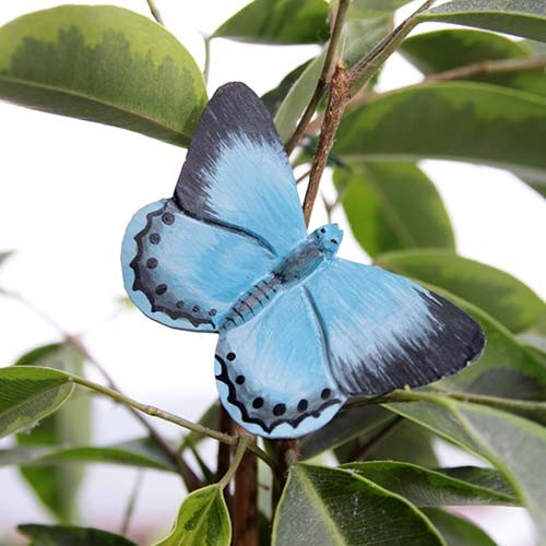 Magnet Schmetterling Faulbaum-Bläuling