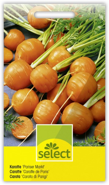 Karotte 'Pariser Markt' - Daucus carota
