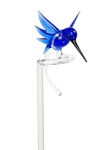 Orchideenstab 'Kolibri' blau