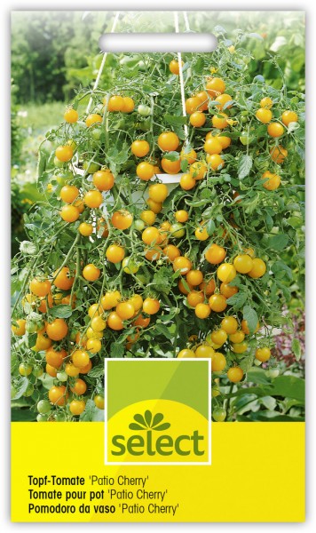 Topf-Tomate 'Patio Cherry' - Lycopersicon esculentum