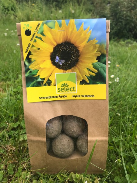 Seedballs-Sonnenblumen