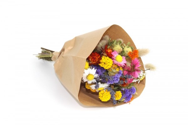Trockenblumen-Bouquet 'Colorful Wild Flowers'