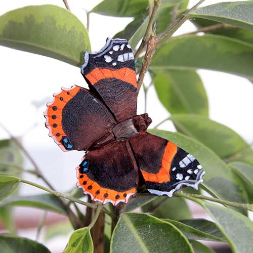 Magnet Schmetterling Red Admiral