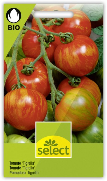 Bio Tomate 'Tigrella' - Vorderseite