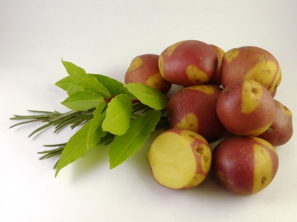 Saatkartoffeln 'Miss Blush', 1 kg