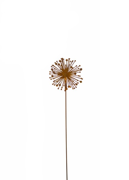 Topfstecker 'Allium' klein