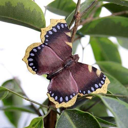 Magnet Schmetterling Trauermantel