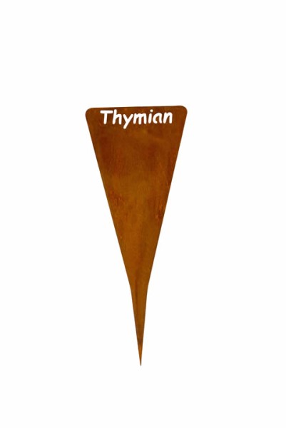 Kräuterstecker 'Thymian'