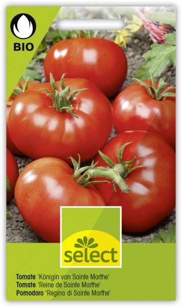 Tomate 'Königin von Sainte Marthe' - Lycopersicon esculentum